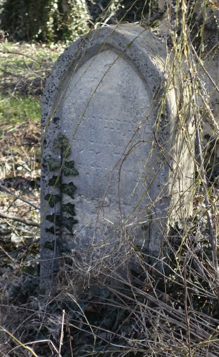 Cimitirul Vechi Evreiesc Cluj — foto 7