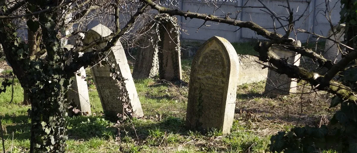 Cimitirul Vechi Evreiesc Cluj — foto 8