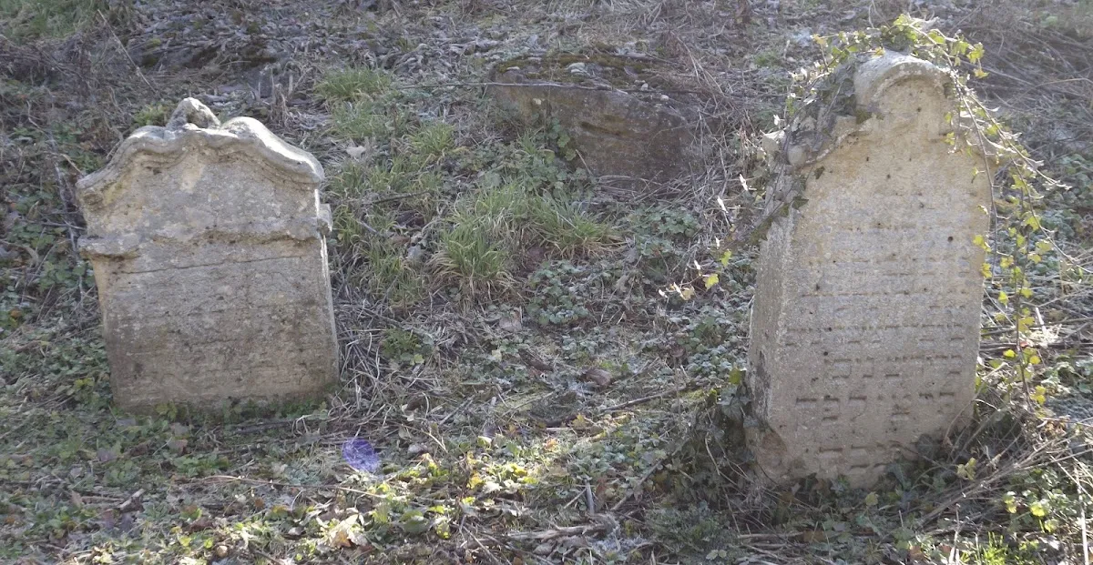 Cimitirul Vechi Evreiesc Cluj — foto 9