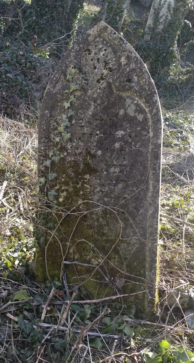 Cimitirul Vechi Evreiesc Cluj — foto 10