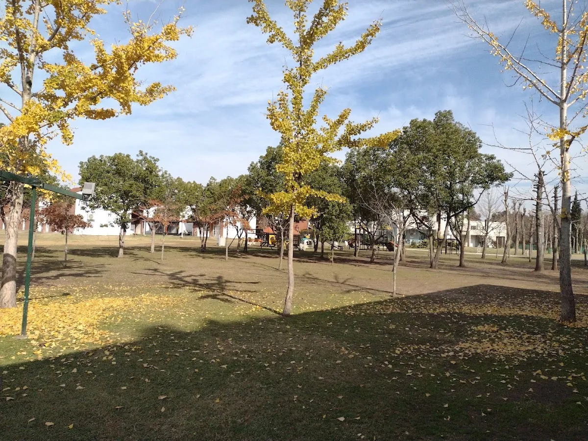 Círculo Social Hebreo Argentino — foto 8
