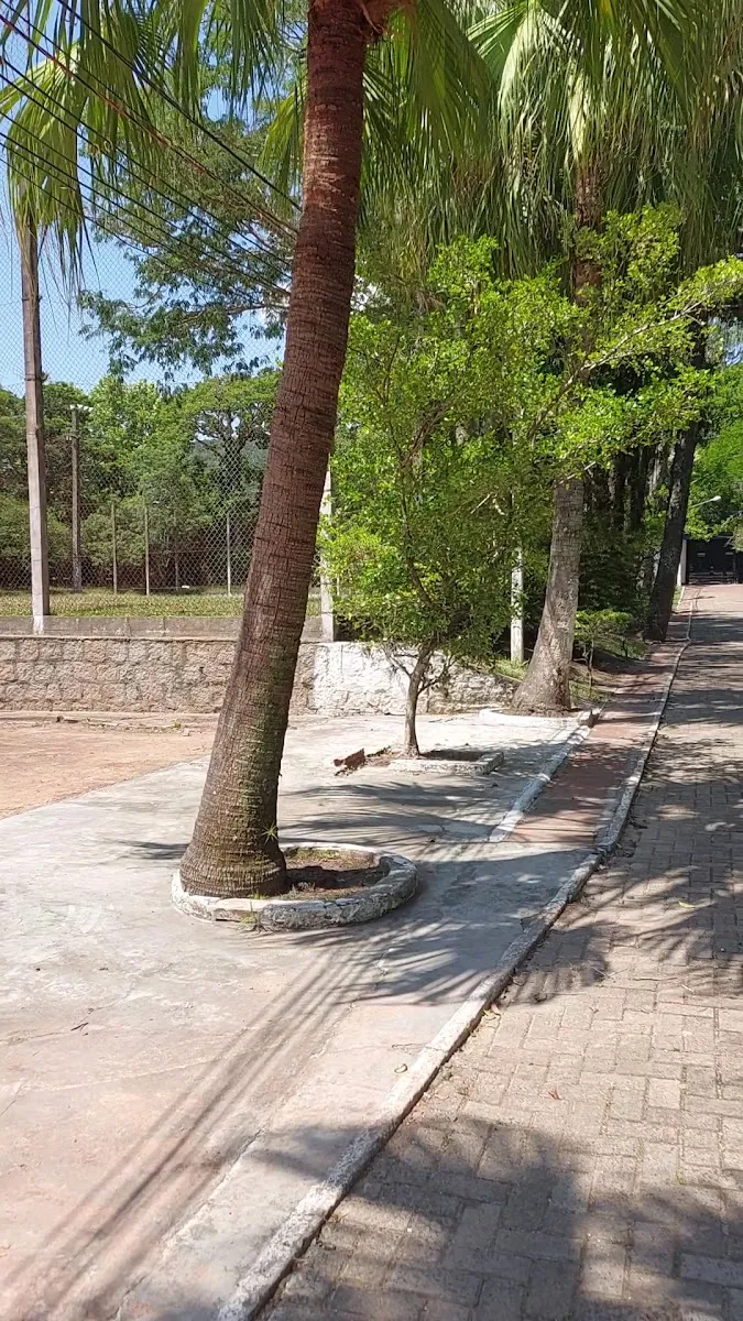 Club Campestre Maccabi — photo 10