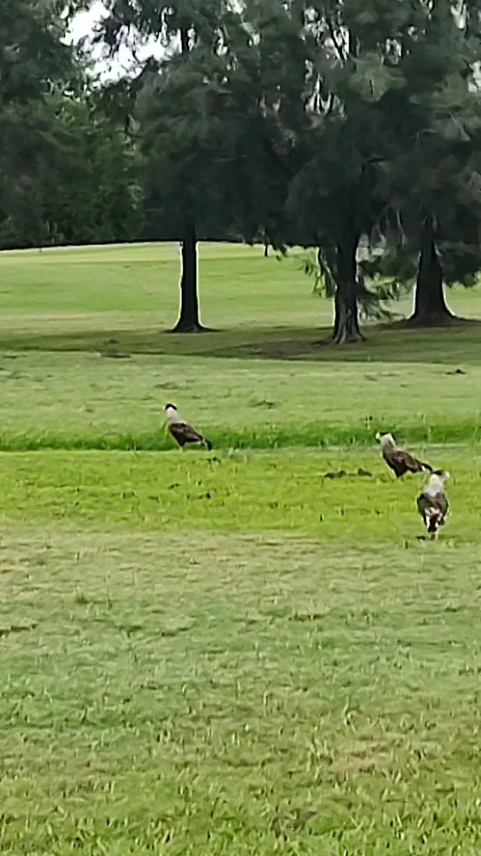Club de Campo Hacoaj — photo 2