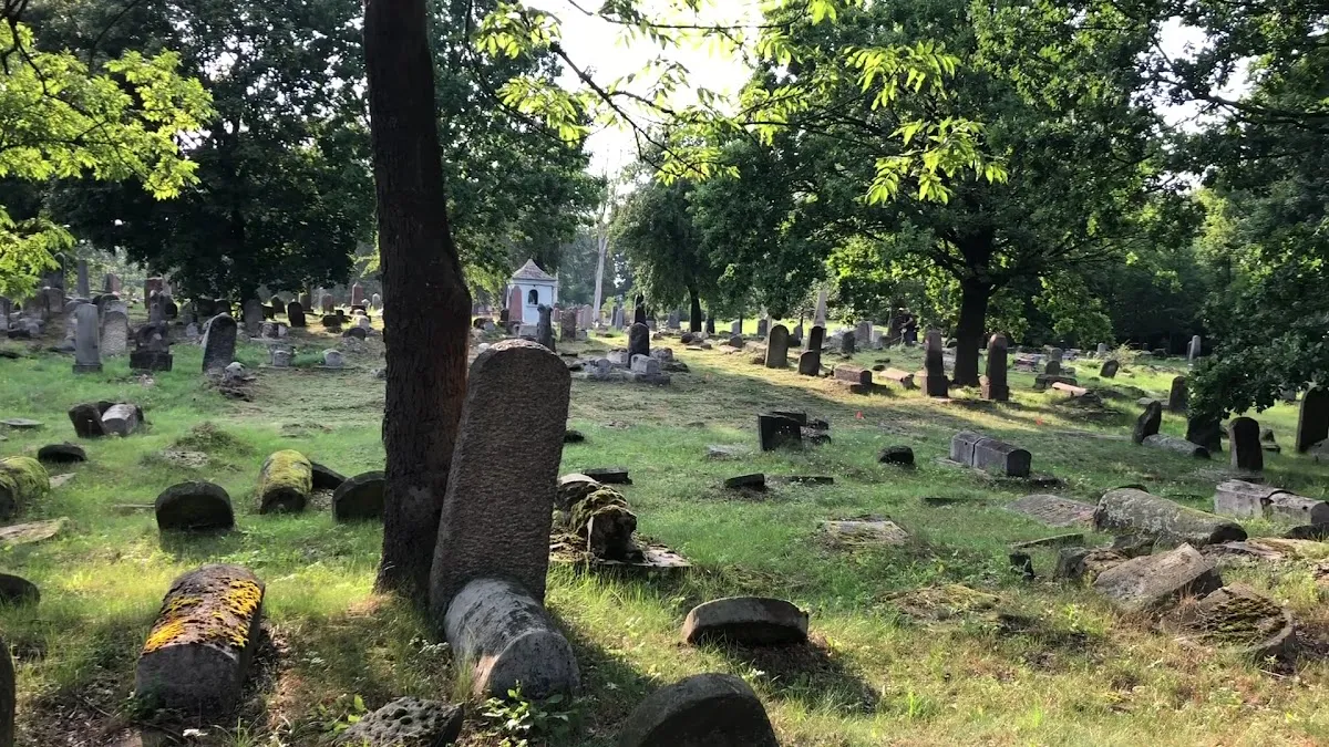 Cmentarz żydowski w Białymstoku — foto 3