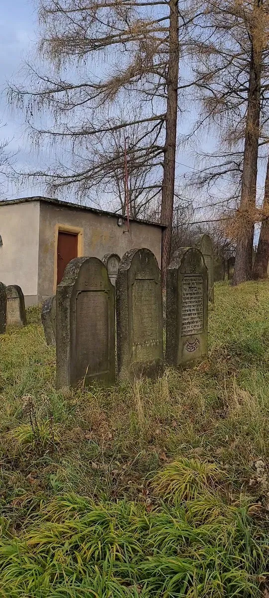 Cmentarz żydowski w Bobowej — foto 3