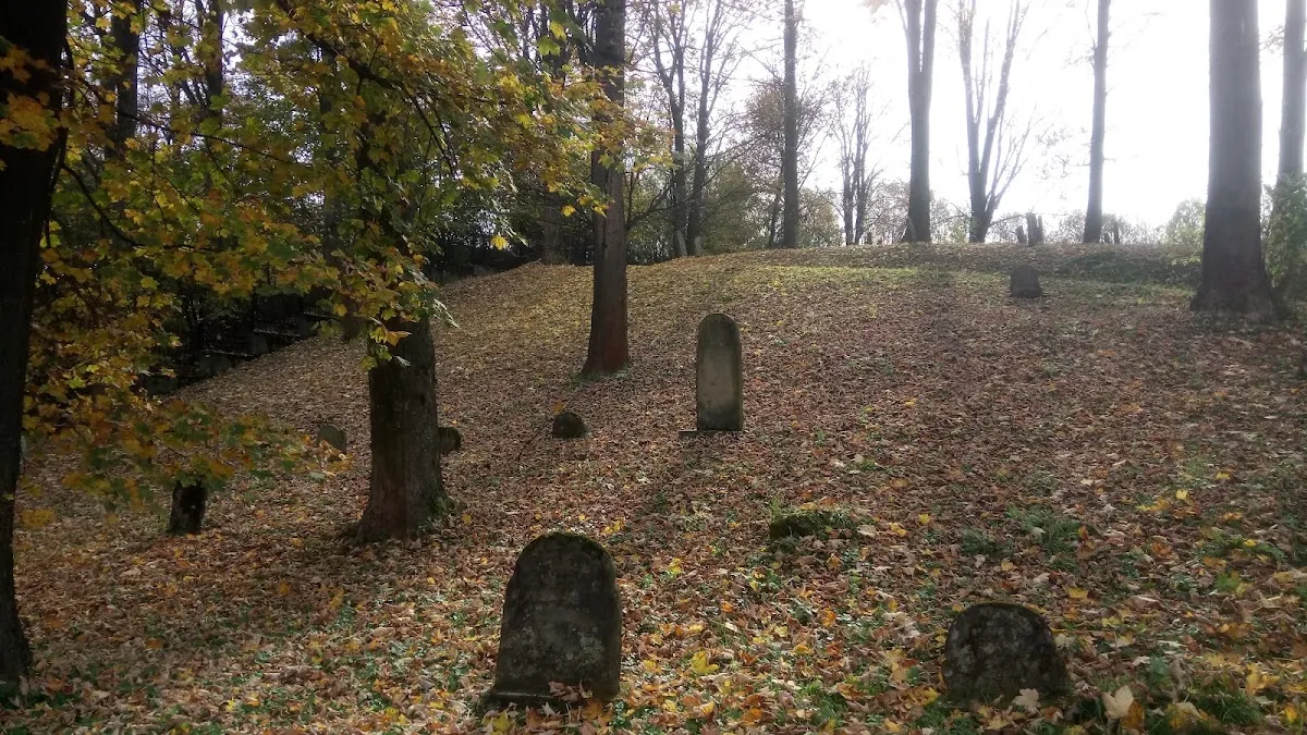 Cmentarz żydowski w Łabowej — foto 5