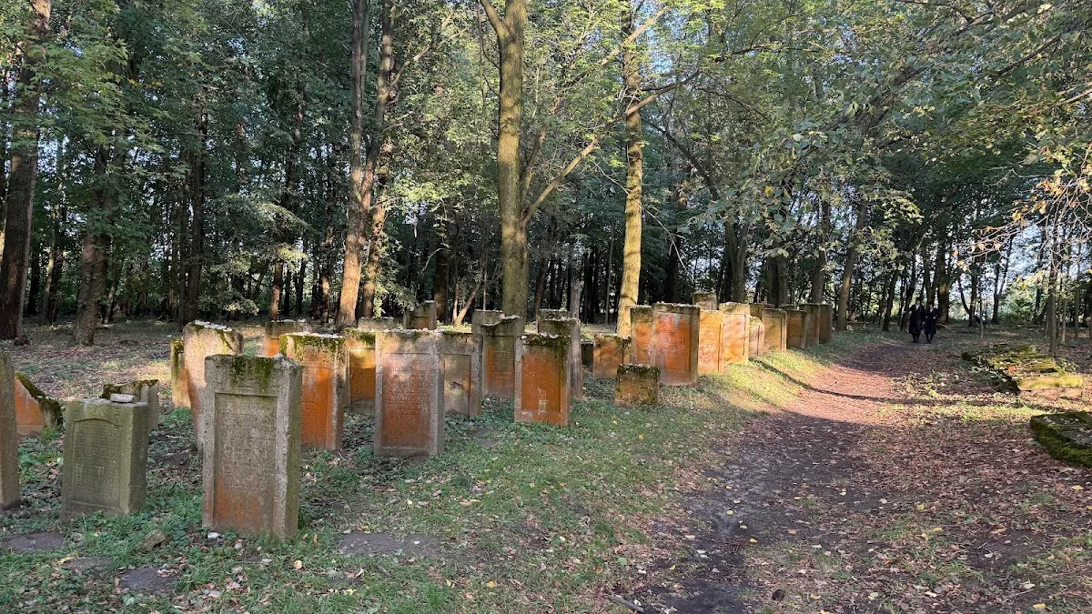 Cmentarz żydowski w Leżajsku (ohel cadyka Elimelecha) — foto 2