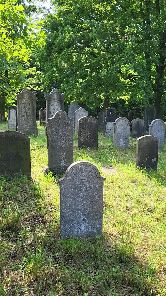 Cmentarz żydowski w Pyskowicach — foto 3