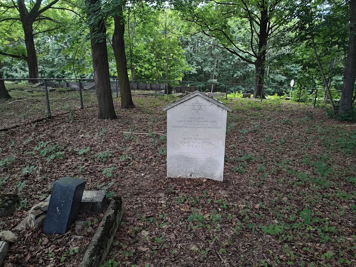Cmentarz żydowski w Pyskowicach — foto 4