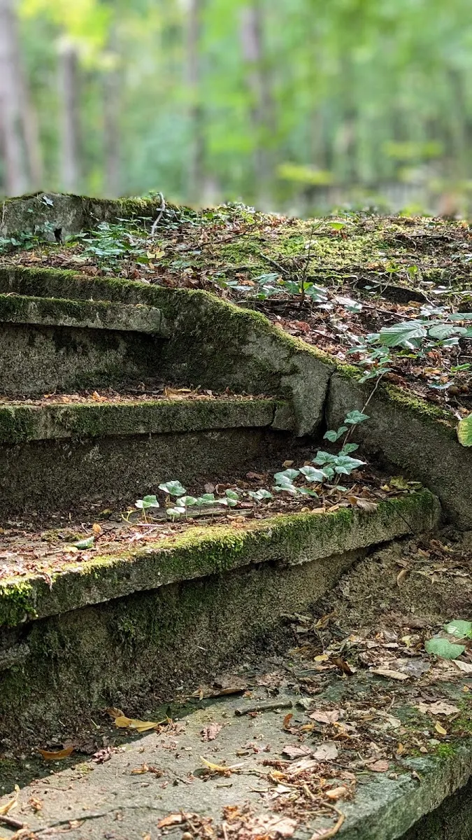 Cmentarz żydowski w Sopocie – kirkut — foto 10
