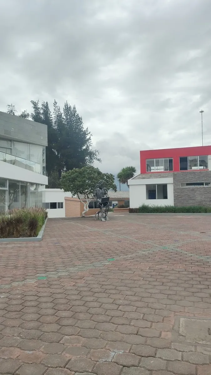 Colegio Alberto Einstein — foto 5
