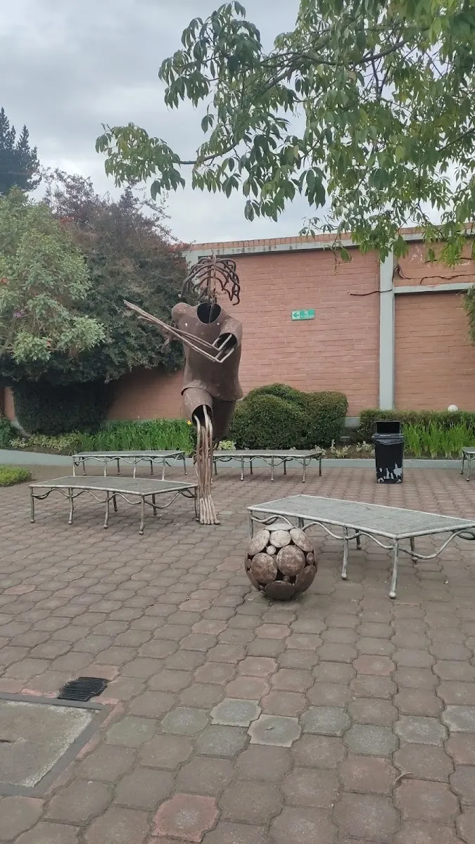 Colegio Alberto Einstein — foto 7