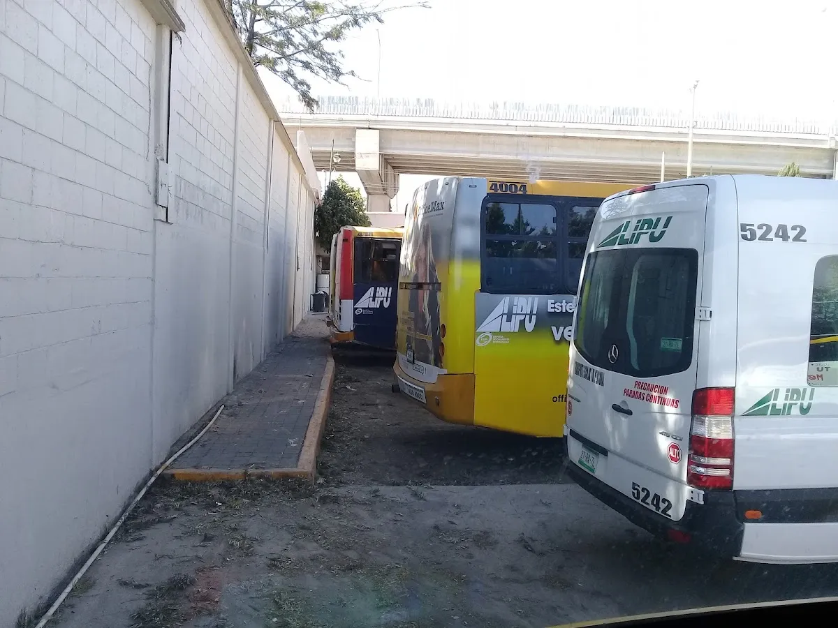Colegio Hebreo Tarbut — foto 7