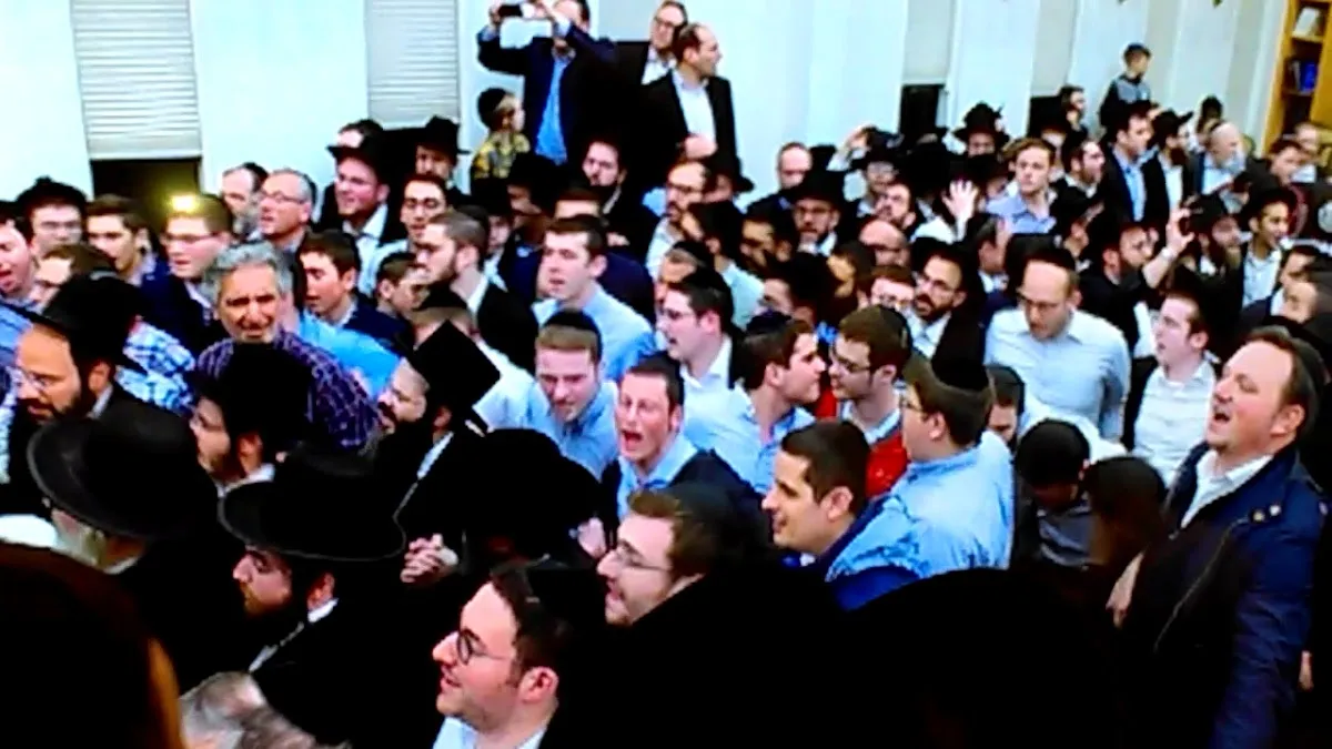 Cong. Bais Medrash Ostrove-Kalushin — foto 2