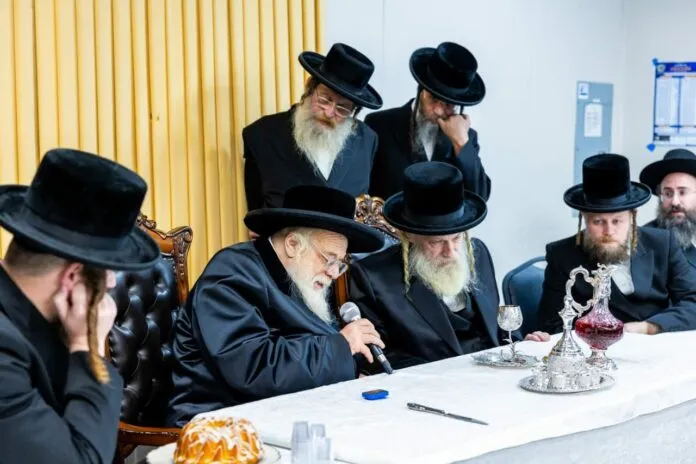 Cong. Birchat Eliezer Seret Viznitz — photo 3