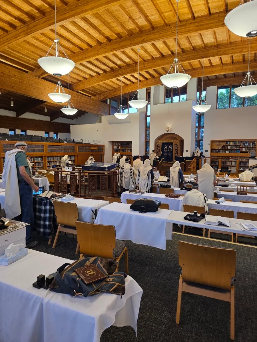 Congregation Adat Yeshurun — foto 7