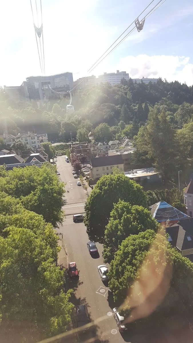 Congregation Ahavath Achim de Portland — foto 3