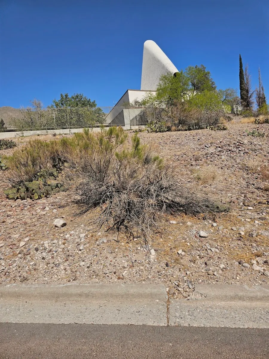 Congregation B'nai Zion — foto 4