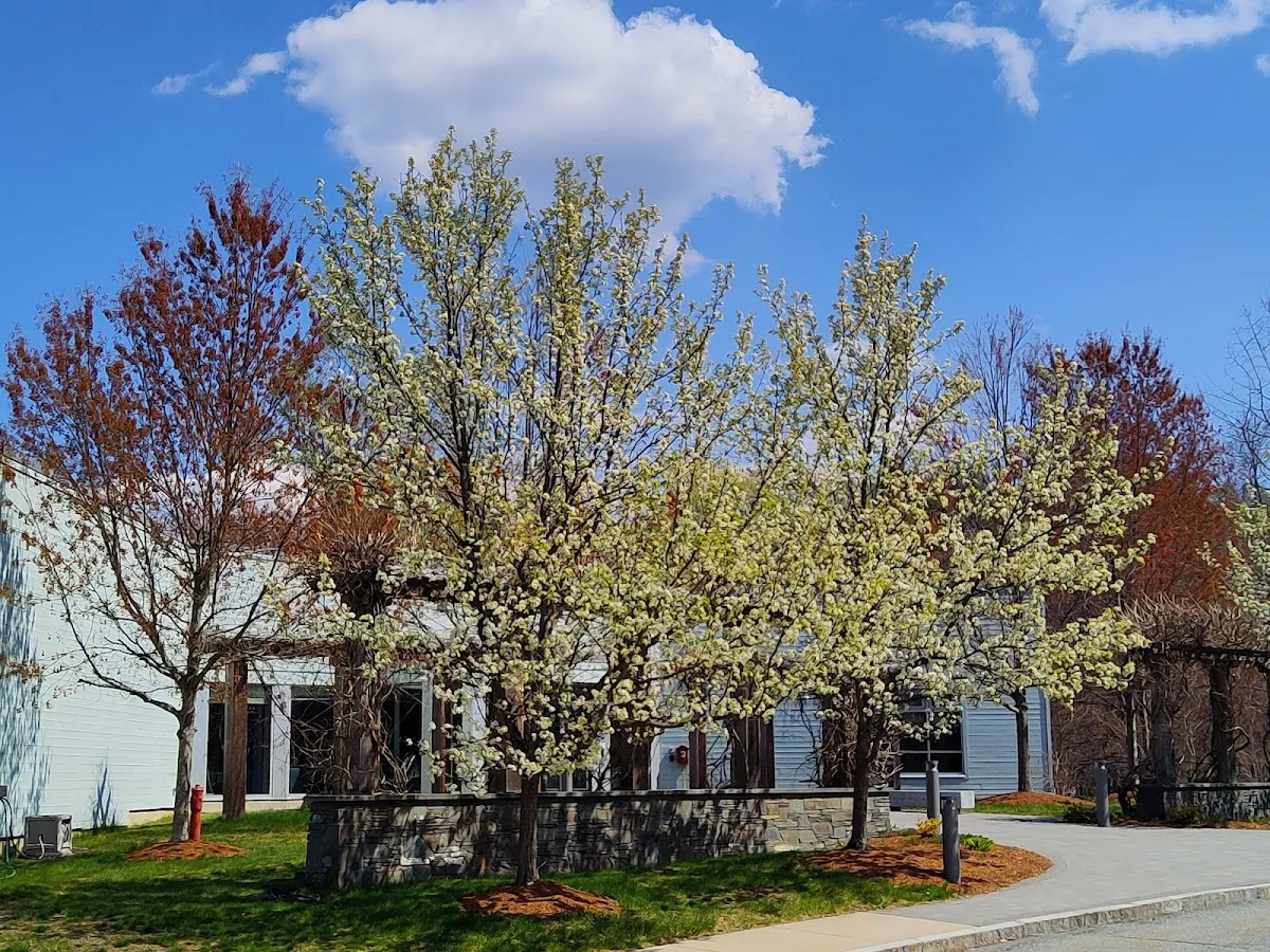 Congregation Beth Elohim — foto 5