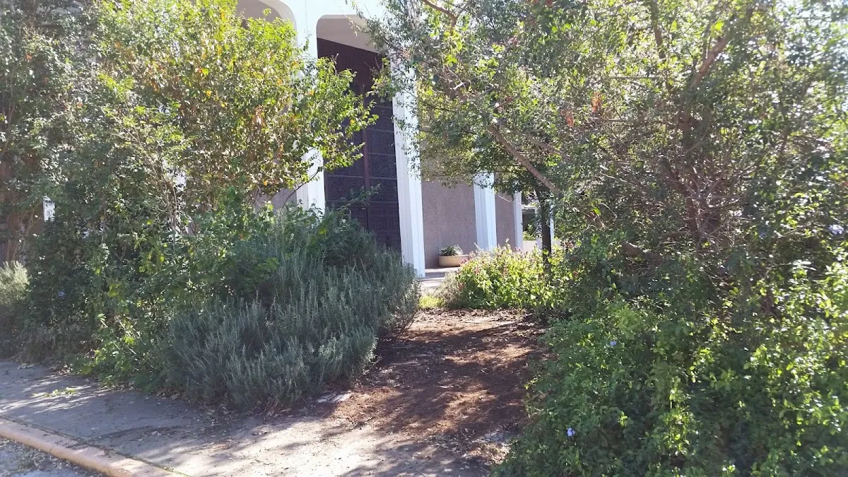 Congregation Beth Israel de Austin — foto 6
