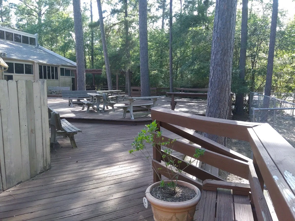Congregation Beth Shalom — foto 10