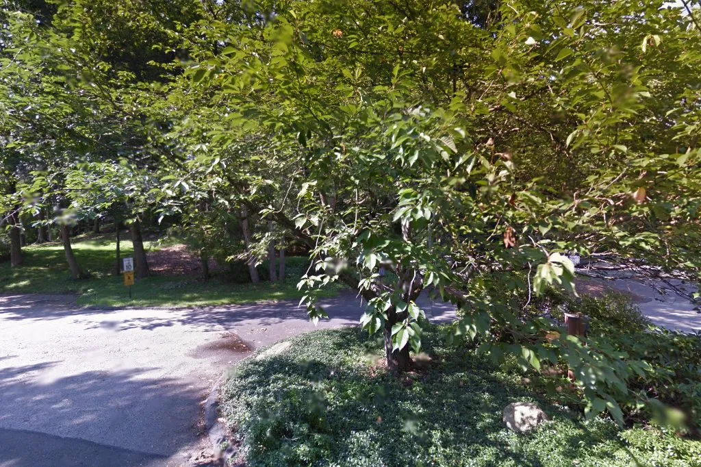 Congregation for Humanistic Judaism — foto 2