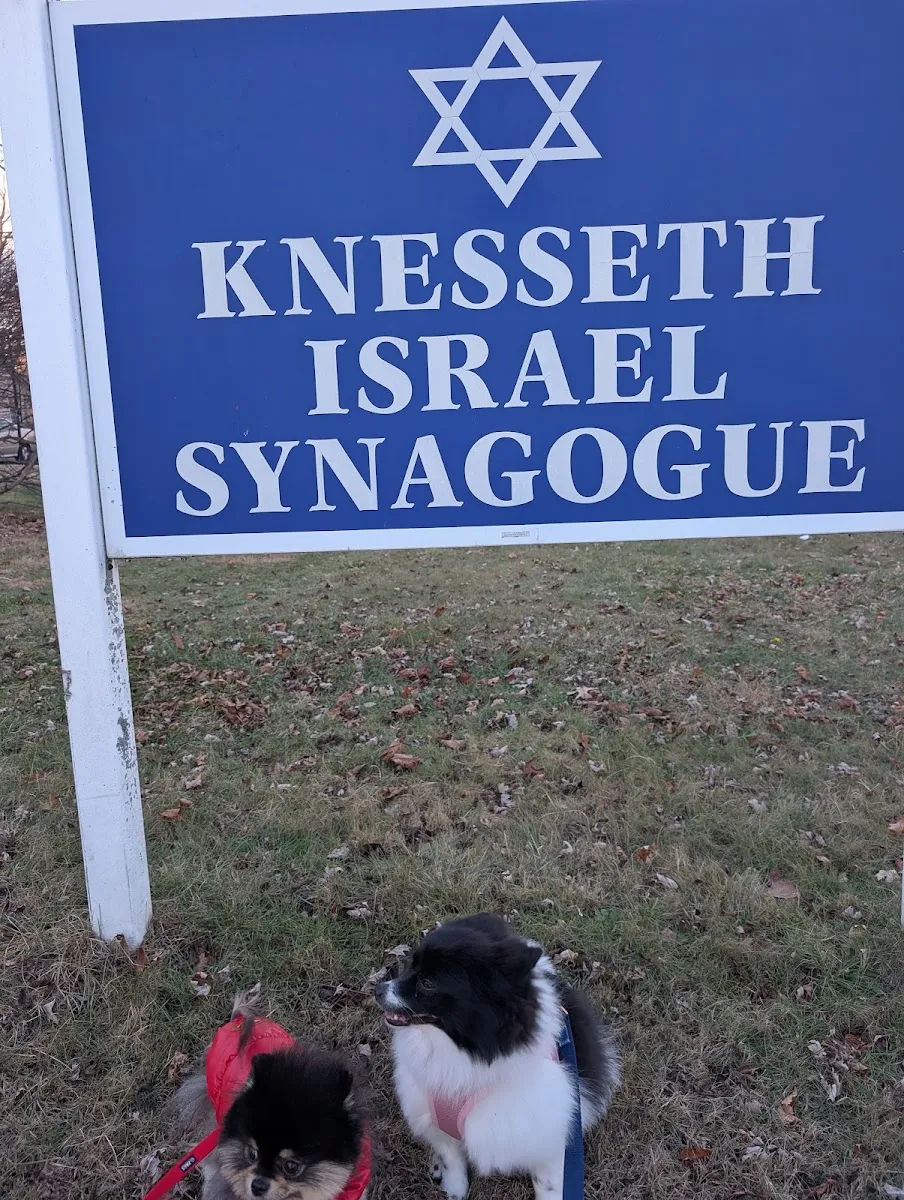 Congregation Knesseth Israel — foto 9