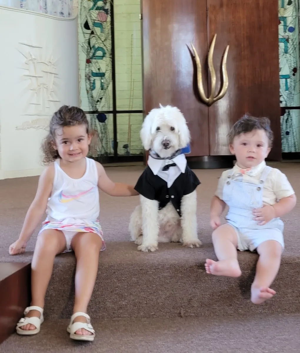Congregation Ner Tamid South Bay — photo 10