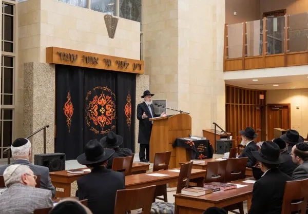 Congregation Ohr HaTorah — photo 5