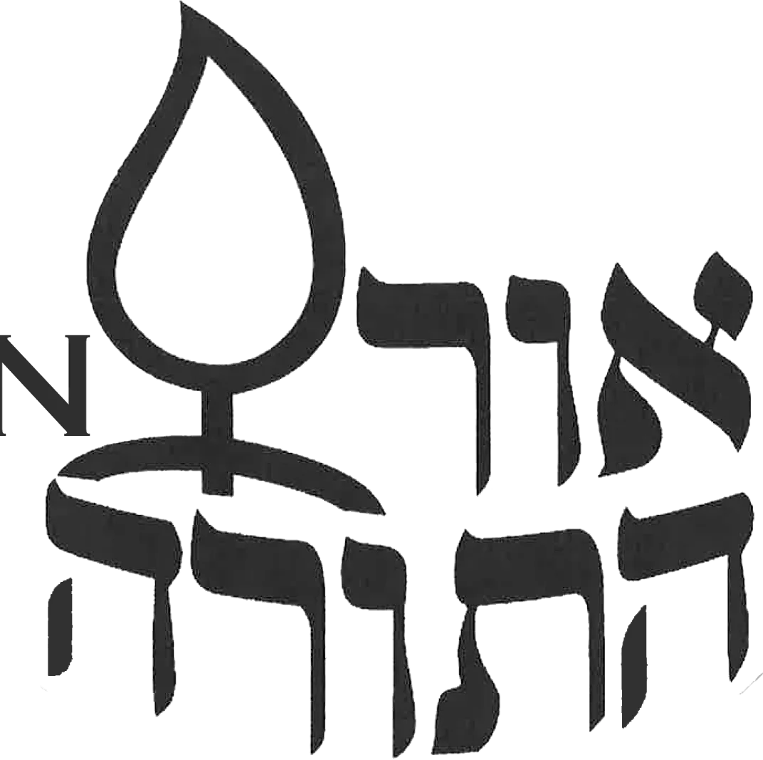 Congregation Ohr HaTorah — foto 2