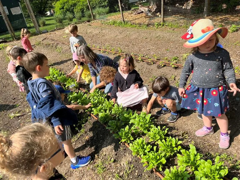 Congregation Sons of Israel Nursery School