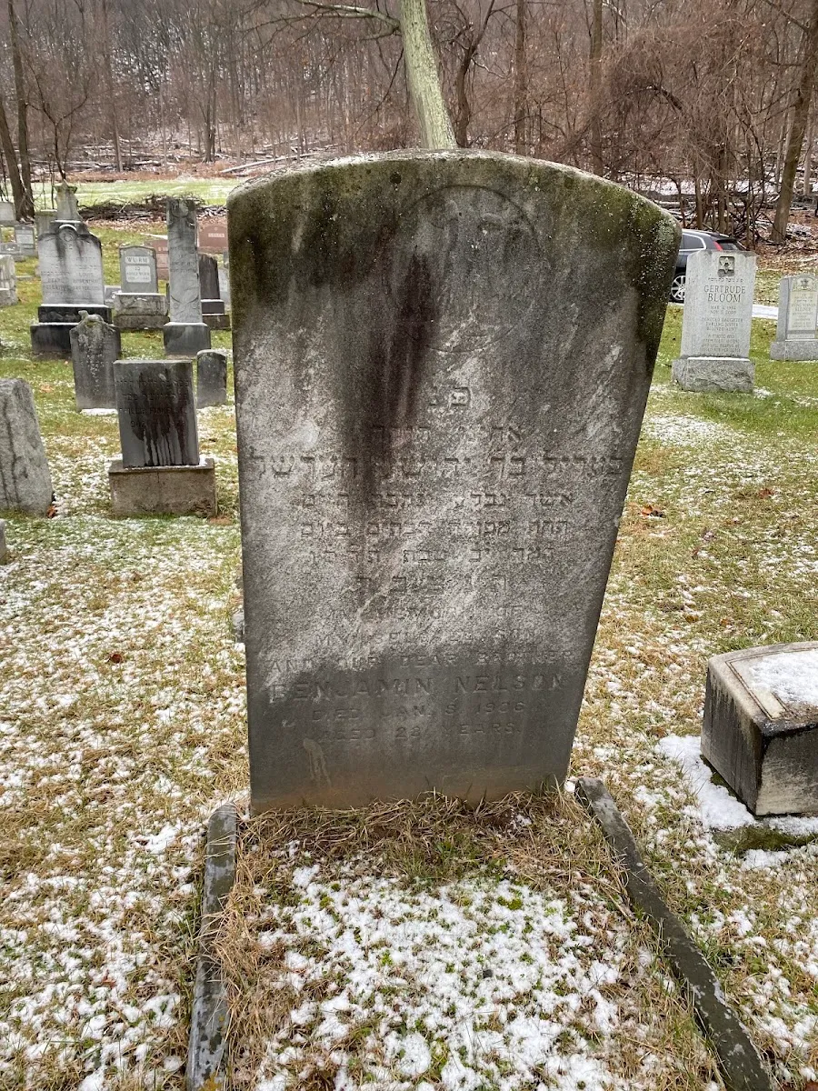 Congregation Sons of Jacob Cemetery — foto 2