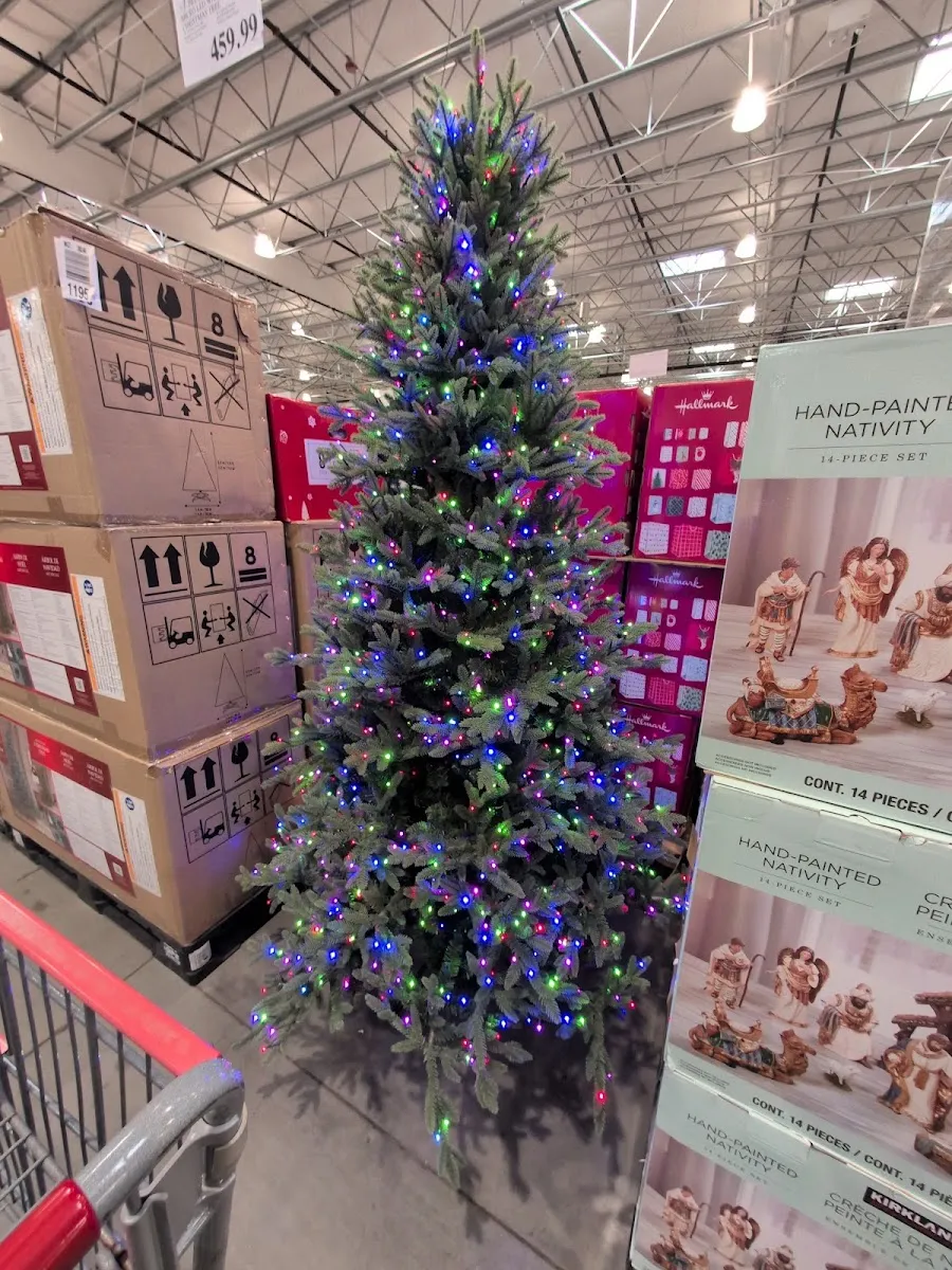 Costco Wholesale — photo 10