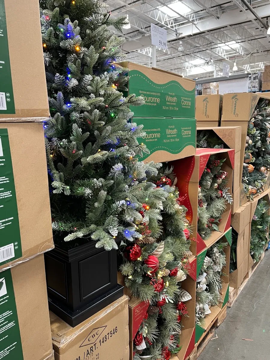 Costco Wholesale (Cactus Road) — photo 9
