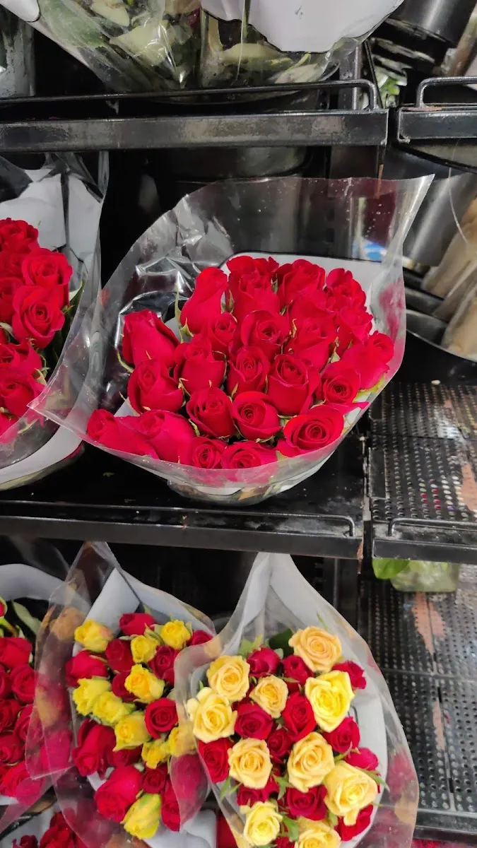 Costco Wholesale (Lawrence) — foto 8