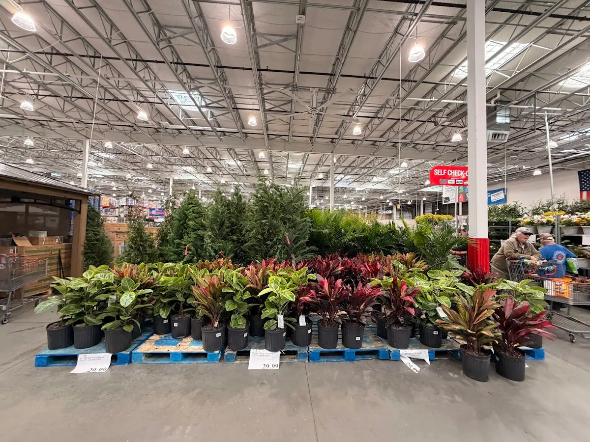 Costco Wholesale (Oceanside) — photo 4