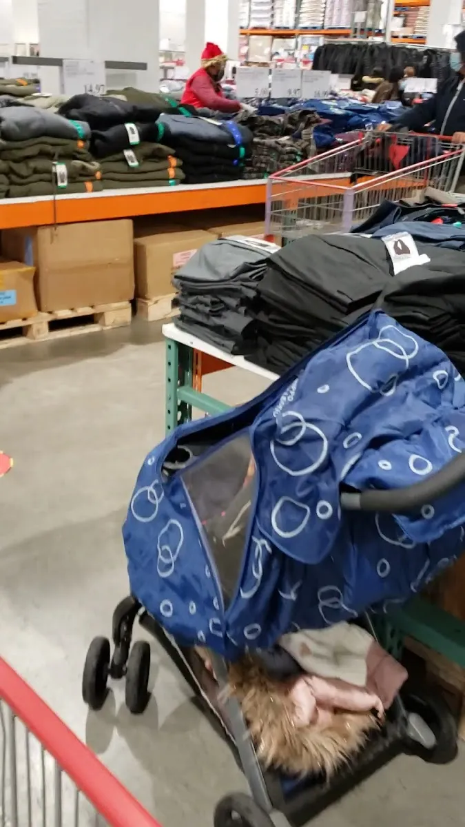 Costco Wholesale (Rego Park) — photo 7