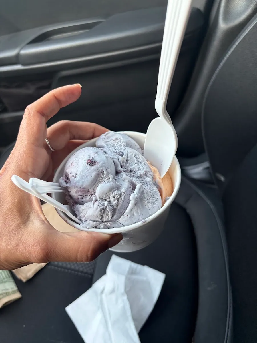 Dairy Deluxe — photo 4