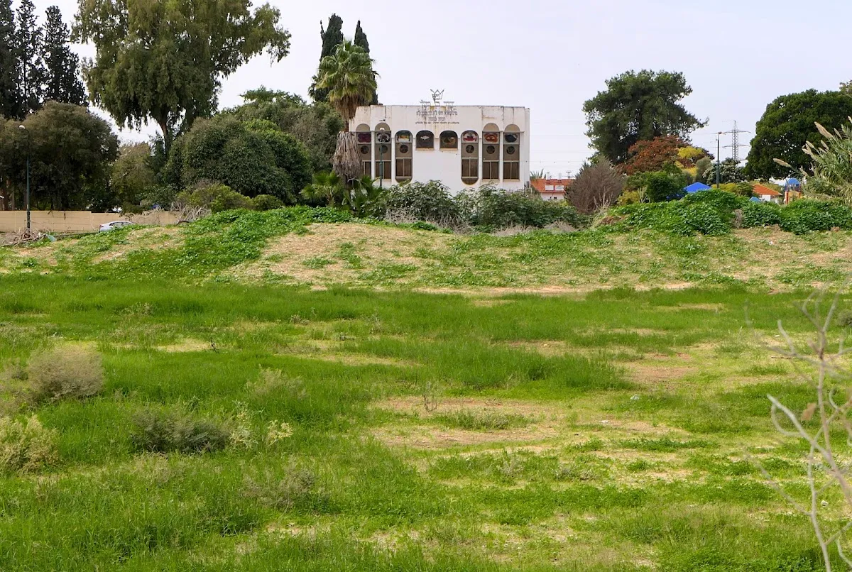 David Ben Yishai Synagogue — foto 9