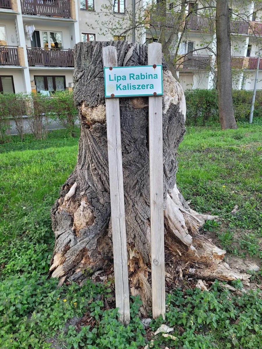 Dawny cmentarz żydowski w Toruniu — foto 4