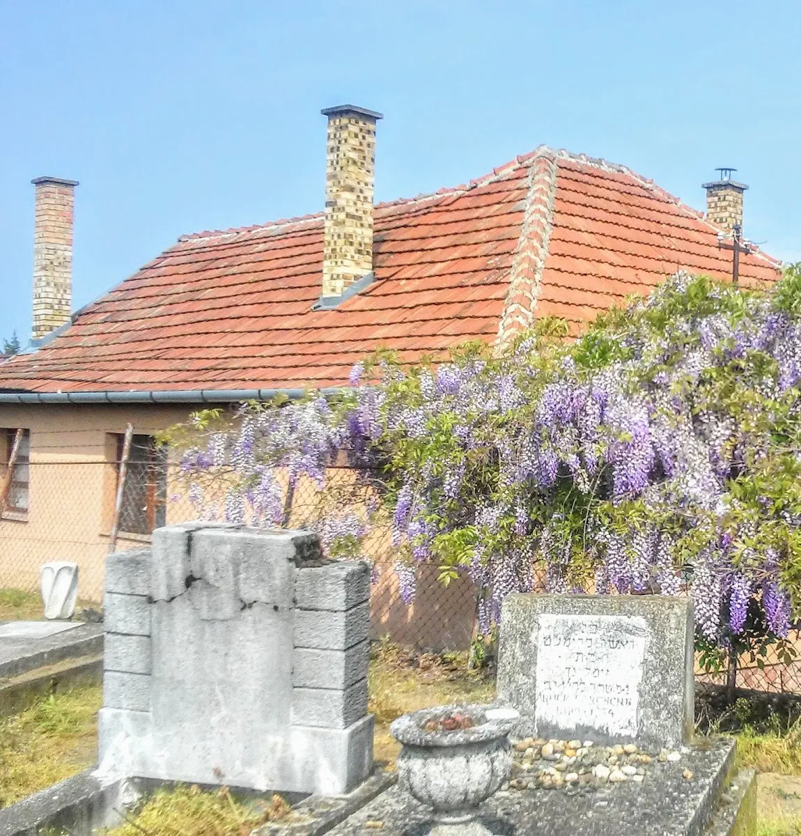 Debreceni zsidó temető — photo 6