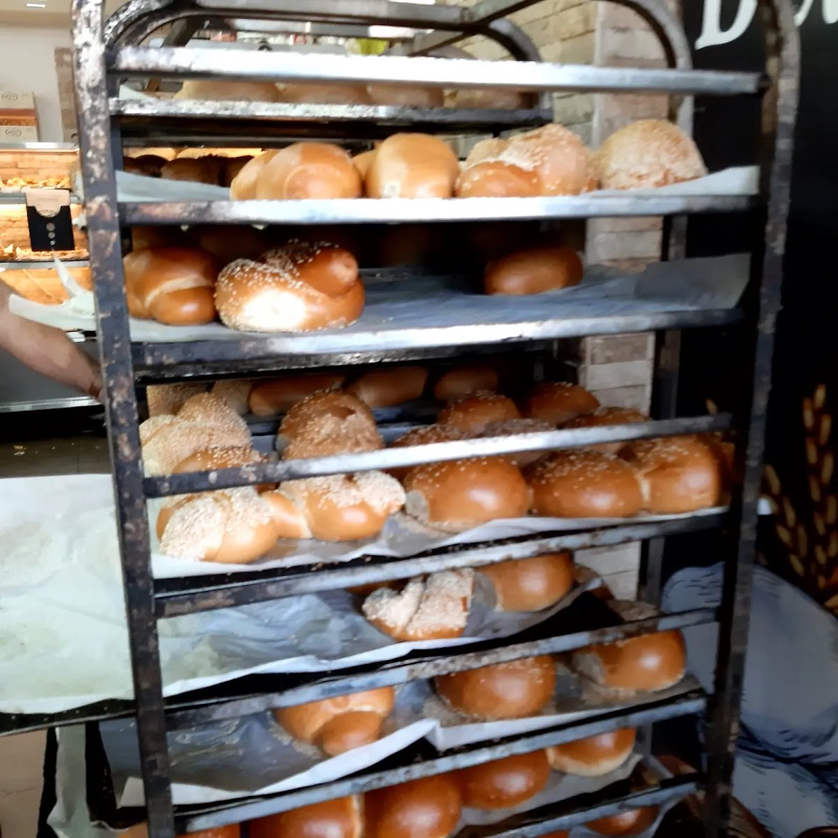 Delicious Patisserie — photo 3
