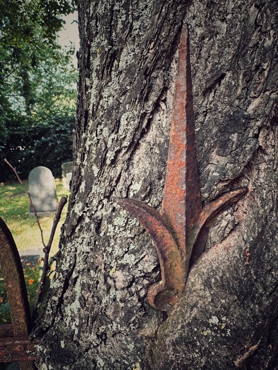 Det Mosaiske Troessamfunds kirkegård — photo 3