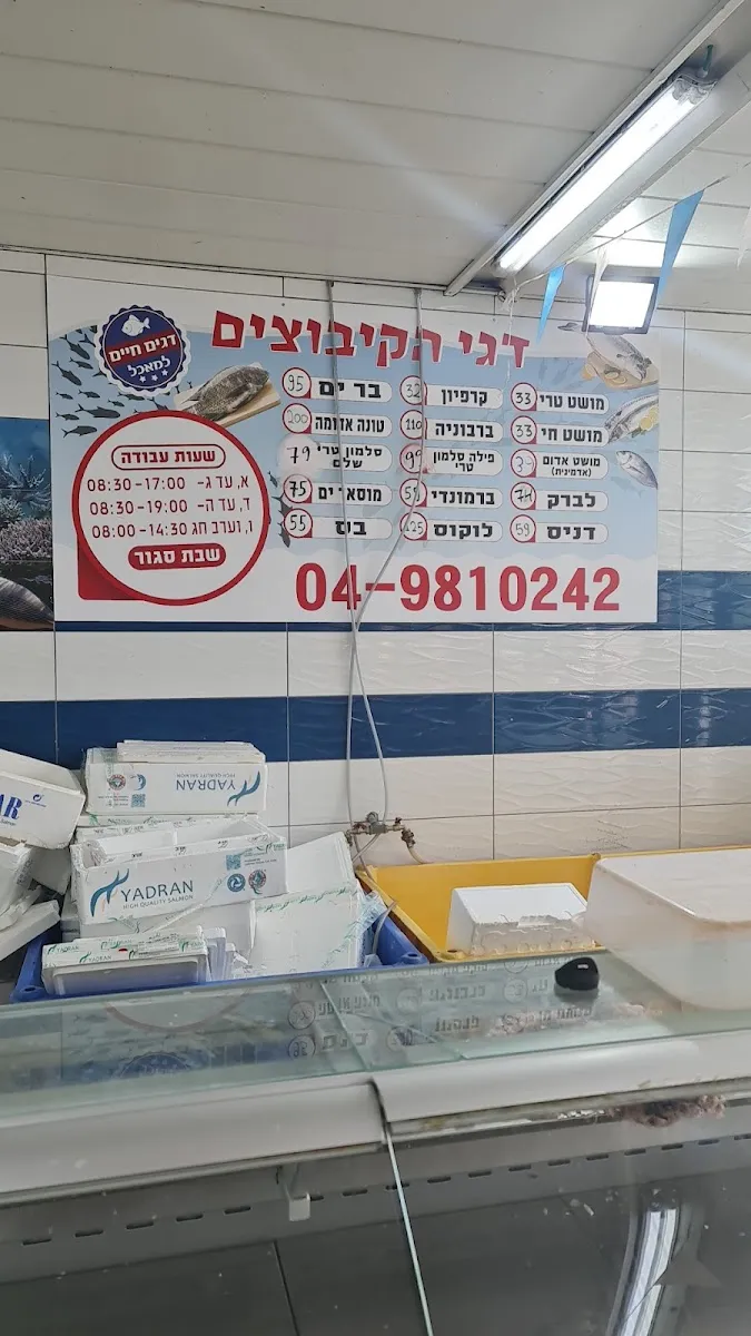 Dgei HaKibbutzim Ein HaMifratz — photo 4