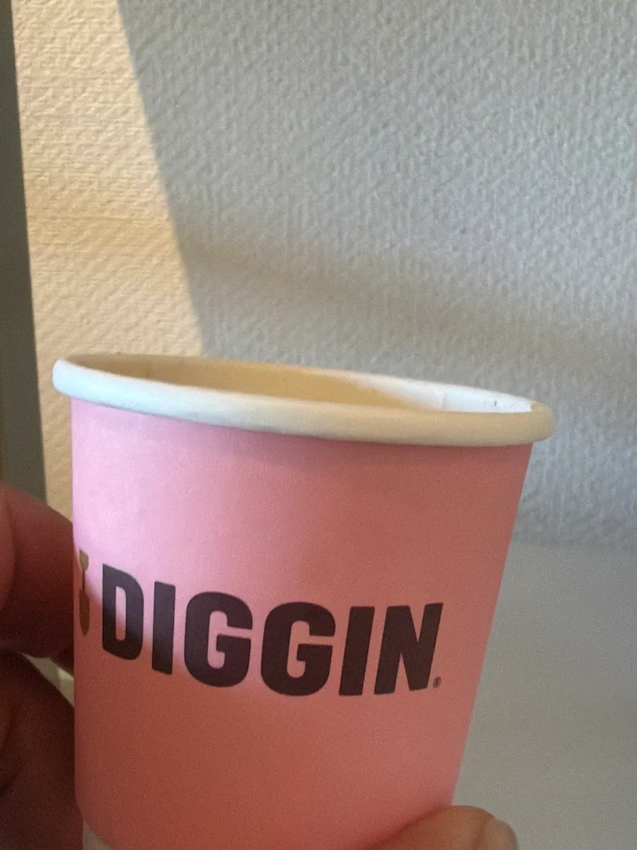 Diggin — photo 3