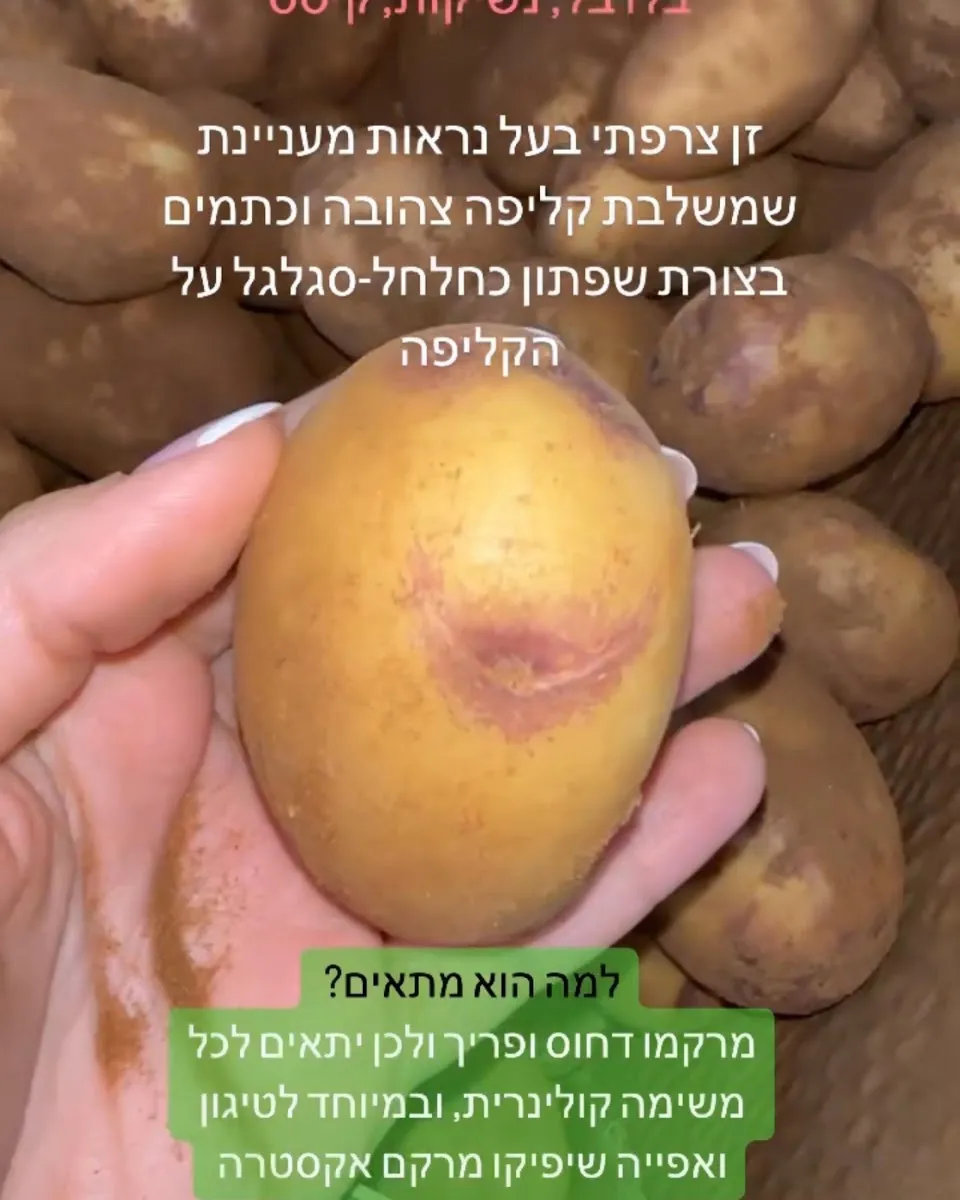Eden Pri HaAretz — photo 9