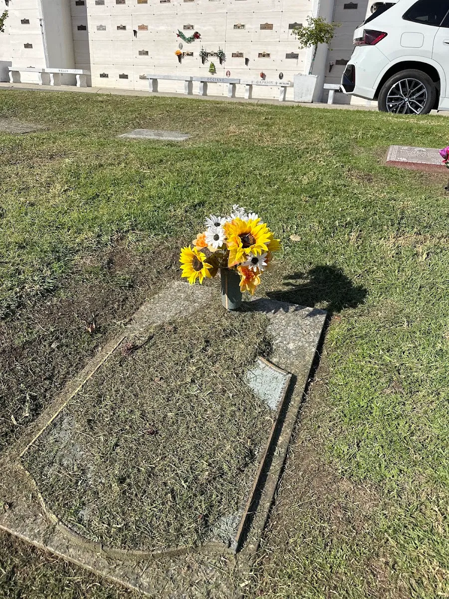El Camino Memorial - Sorrento Valley & Memorial Park — foto 9