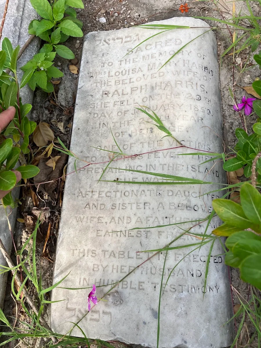 Elliston Road Jewish Cemetery — foto 7