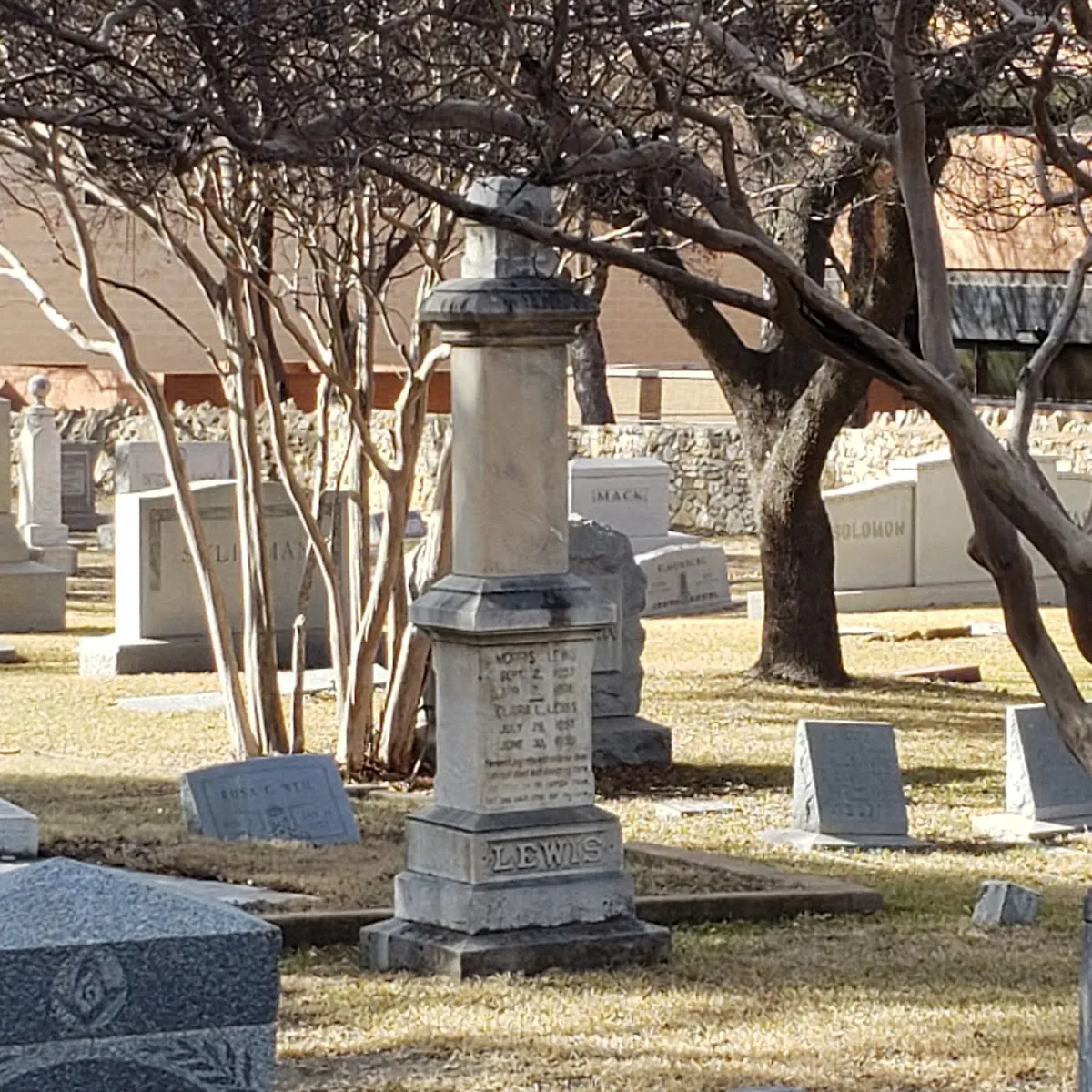 Emanuel Hebrew Rest Cemetery - Texas State Historical Marker — photo 6