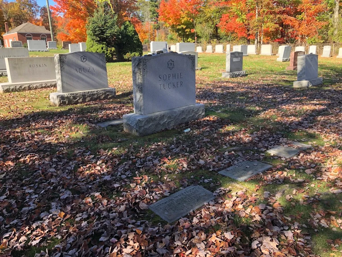 Emanuel Synagogue Cemetery — foto 5